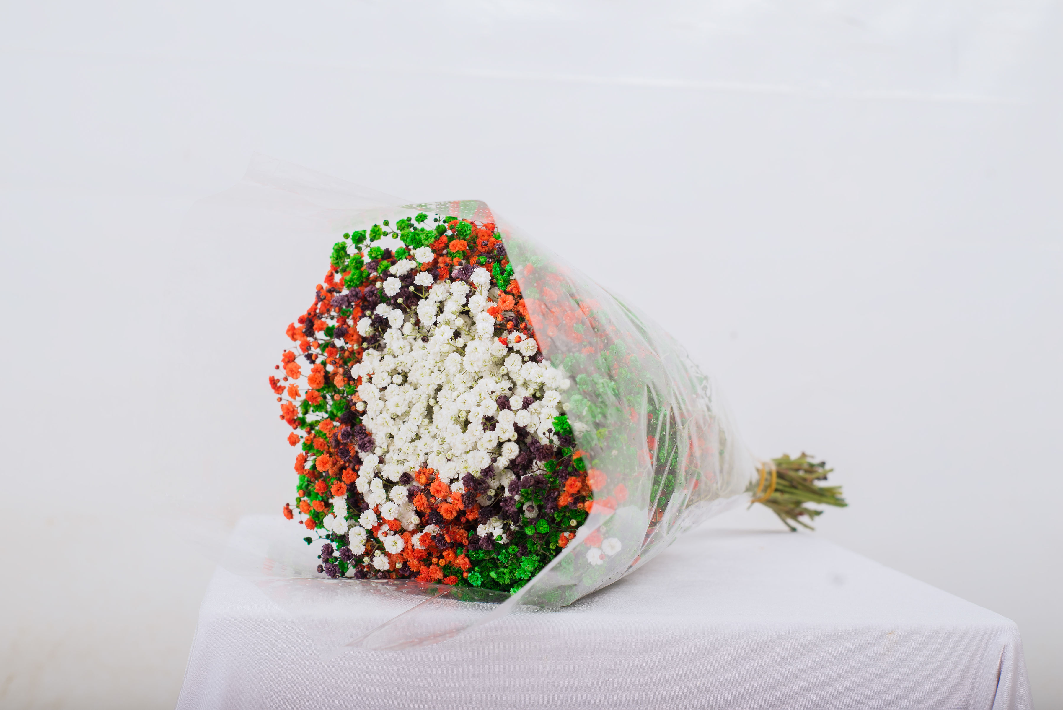 Dried Gypsophila