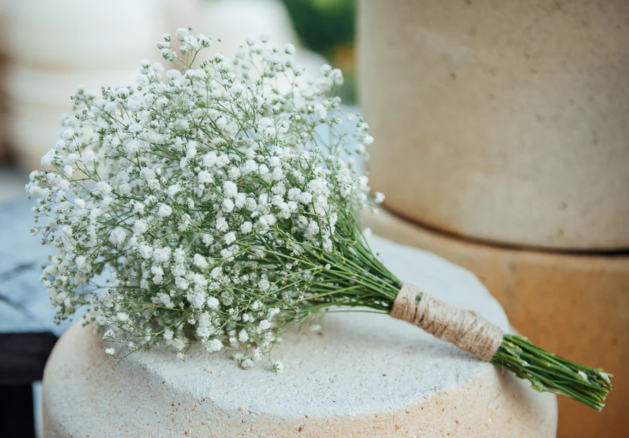 Kessa Flowers