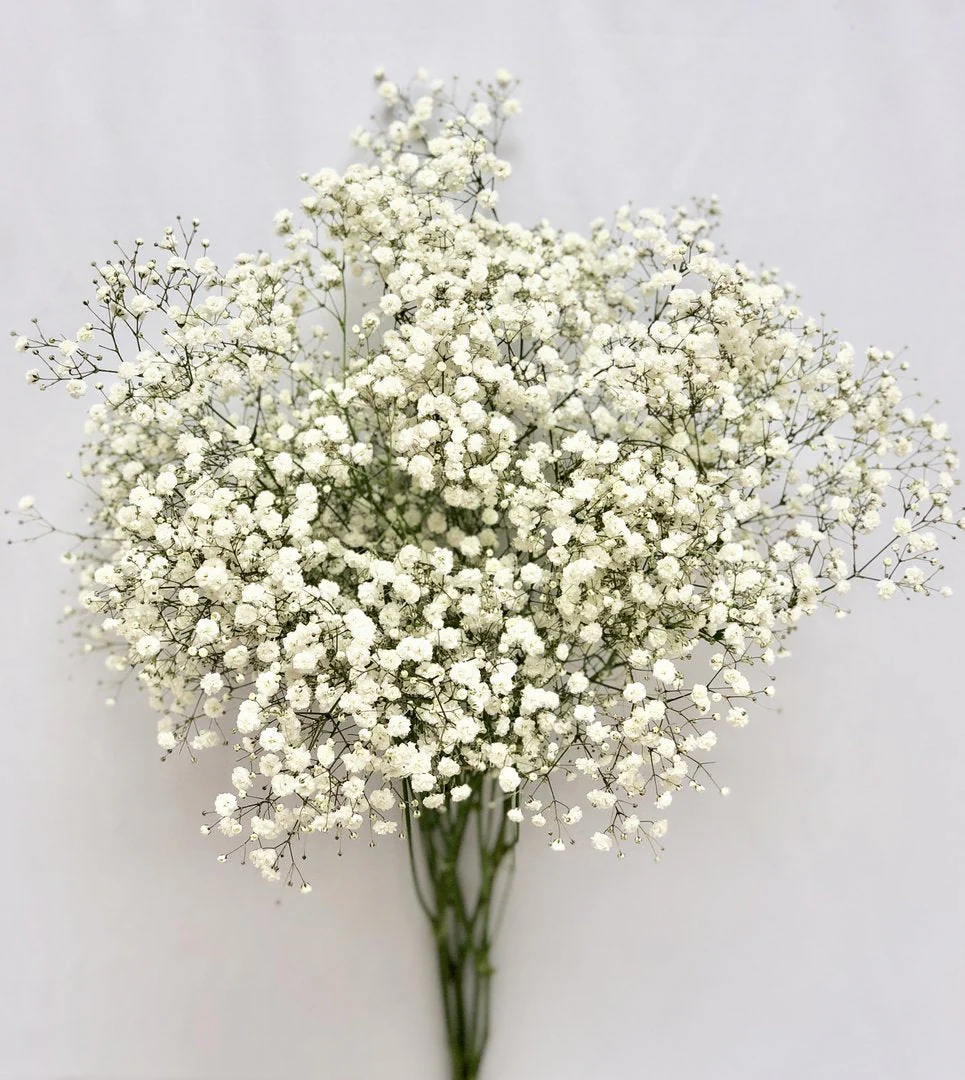 Kessa Flowers